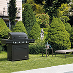 Boretti gasbarbecue